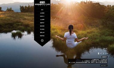 围高养生园网站建设